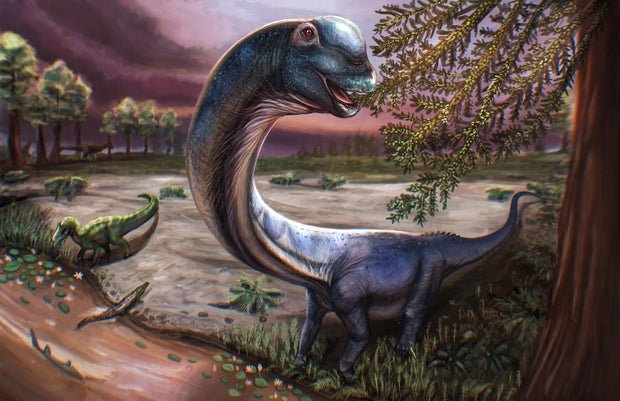 Skeletal remains of new dinosaur weighing as much as 9 elephants discovered by scientists: “The last titan”