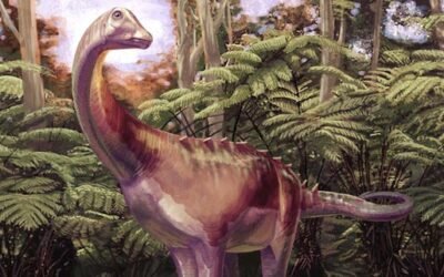 antarctic titanosaur dinosaur forest reconstruction full width andrew mcafee carnegie museum of natural history jpg thumb 1920 1920