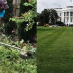 cbsn fusion nonprofit lawn mowing organization hopes to mow the white house lawn for america 250 thumbnail