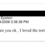 epstein torture video email