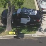 tarzana stabbing
