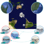 whales rsos 260251 f001