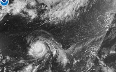 ap26186710141611