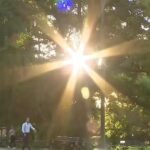 cbsn fusion extreme heat settling us heading july 4 thumbnail