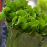 cbsn fusion fda identifies potential culprit in cyclosporiasis outbreak thumbnail