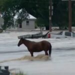 cbsn fusion hundreds rescued amid historic flash flooding in missouri thumbnail