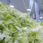 cbsn fusion taylor farms reportedly shut down mexican processing facility linked cyclpospora outbreak thumbnail