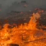 cbsn fusion wildfire forces more than 220000 to evacuate in france destroys over 200 homes thumbnail