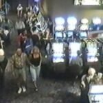 chandler sisco harkness casino