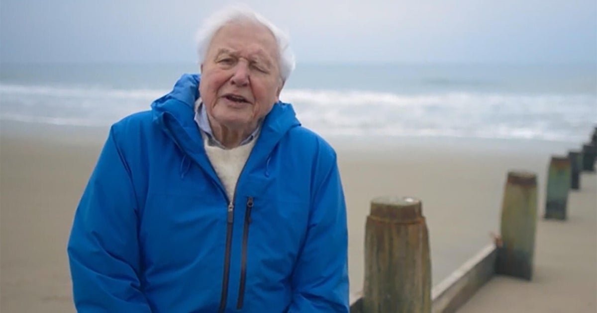 david attenborough 1920