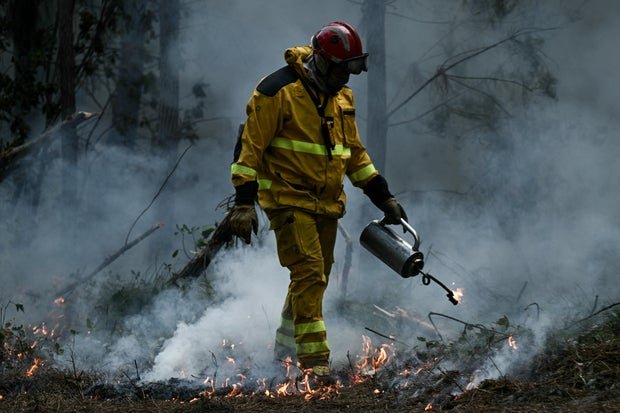 france wildfire 2287607089