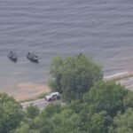 geneva search