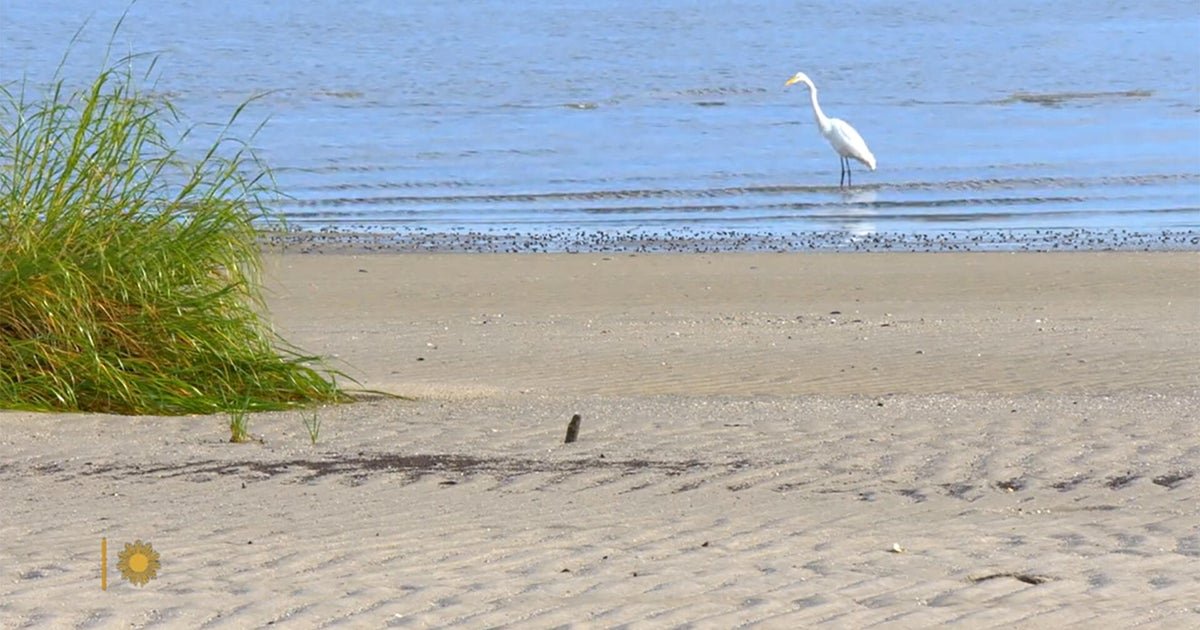 nature cape may 1 1920
