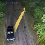 acerman crimescene graphic