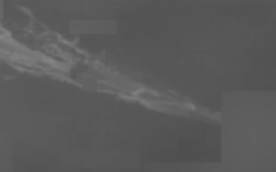 boat strike screenshot 2026 08 24 060716