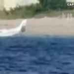 cbsn fusion 23 year old pilot pulls off crash landing near busy florida beach thumbnail