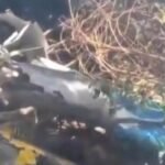 cbsn fusion 5 americans among 7 killed in luxury safari helicopter crash in kenya thumbnail