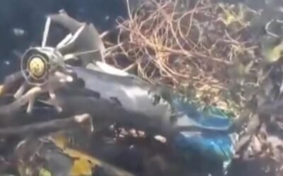 cbsn fusion 5 americans among 7 killed in luxury safari helicopter crash in kenya thumbnail