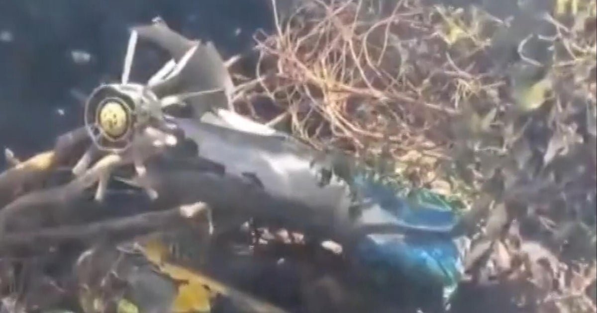 cbsn fusion 5 americans among 7 killed in luxury safari helicopter crash in kenya thumbnail