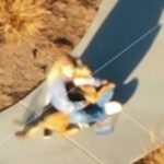 cbsn fusion california deploys drone to track down lost dog on freeway rescues it in minutes thumbnail