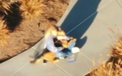cbsn fusion california deploys drone to track down lost dog on freeway rescues it in minutes thumbnail