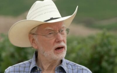 cbsn fusion california grape growers drowning in unsold product as wine demand falls thumbnail