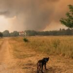 cbsn fusion europeans face energy crisis as heat wave brings wildfires and drought thumbnail