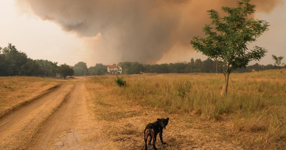 cbsn fusion europeans face energy crisis as heat wave brings wildfires and drought thumbnail