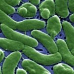 cbsn fusion how to protect yourself from flesh eating bacteria as concern grows for swimmers thumbnail