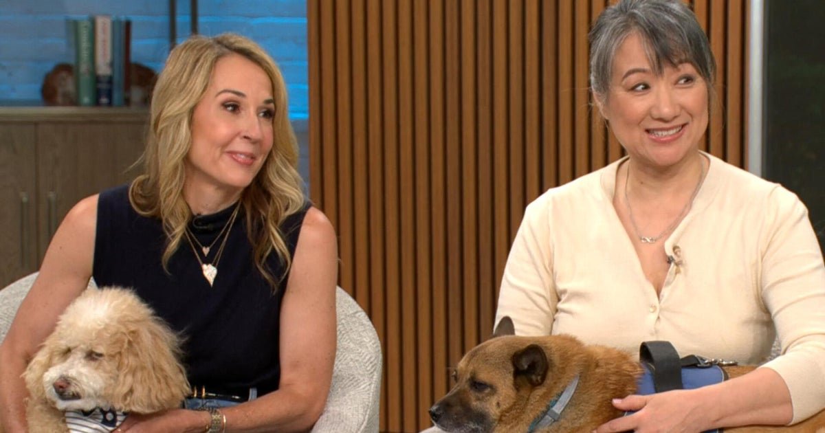 cbsn fusion meet the winners of a paw patrol look alike contest thumbnail