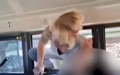 cbsn fusion mom arrested vandalism breaking bus window pull child thumbnail