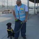 cbsn fusion prison inmates train service dogs changing lives people never met thumbnail