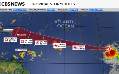 dolly