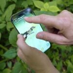 inaturalist app 1920