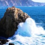 nature big sur 1920