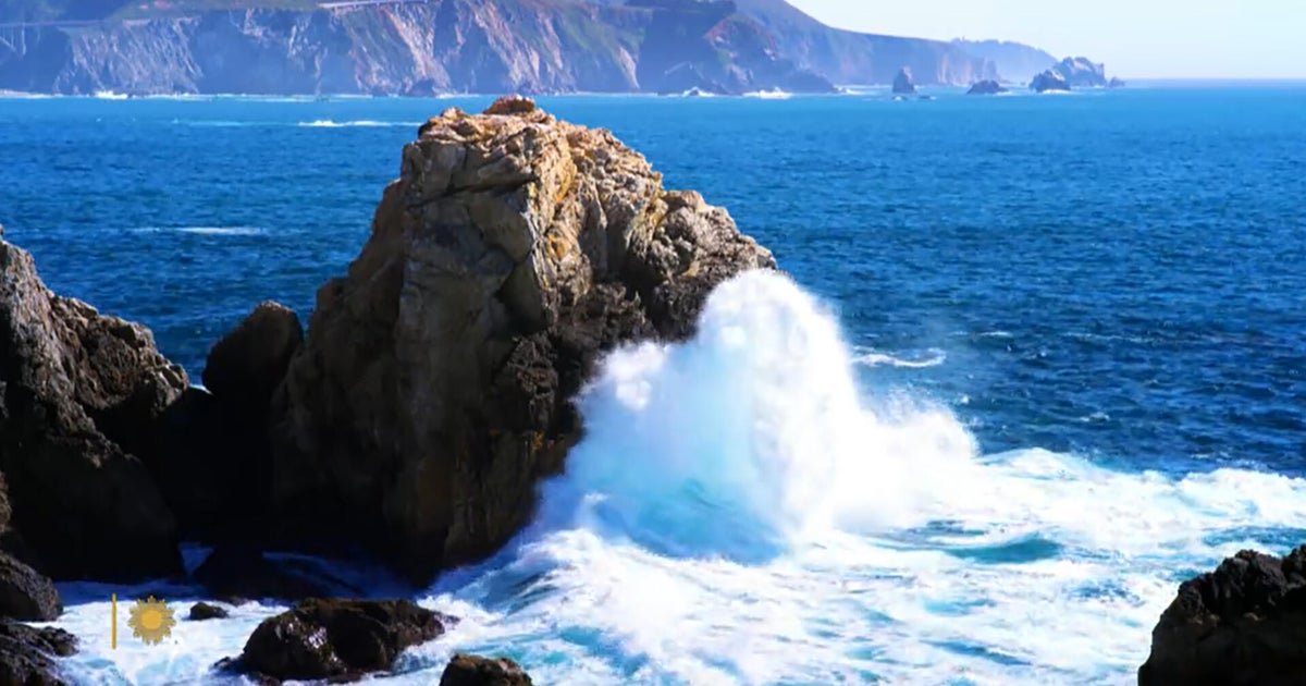 nature big sur 1920