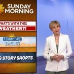 sm jane pauley 081626