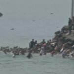 swimming migrants