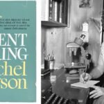 almanac rachel carson 1920