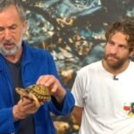 cbsn fusion monsters of god creators on the deep dark world of reptile smuggling thumbnail