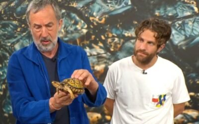 cbsn fusion monsters of god creators on the deep dark world of reptile smuggling thumbnail