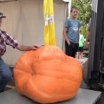pumpkin festival a 1920